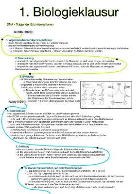 Versuche von Griffith und Avery einfach erklärt - Zusammenfassung und Erklärung