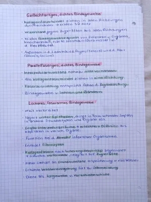 Fibroblasten und Fibrozyten einfach erklärt - Haut, Narben und Kollagen