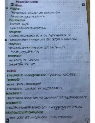 Mitose und Meiose einfach erklärt - Lernzettel mit Stammbaumanalyse Übungen