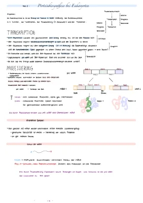 Proteinbiosynthese und Alternatives Spleißen: Einfach erklärt für Kinder