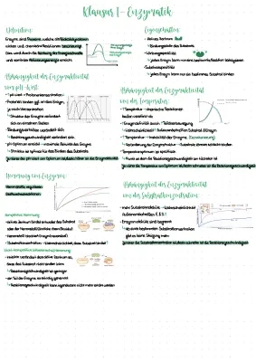 Understanding Enzymes: Examples and Functions