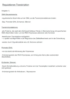 Wie Eukaryoten ihre Gene Regulieren: Transkriptionsfaktoren und mehr!