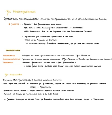 Proteinbiosynthese Ablauf einfach erklärt und Sichelzellanämie Infos