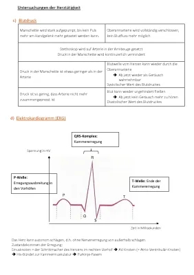 Blutdruck und EKG einfach erklärt für Kinder - Systolisch, Diastolisch und mehr