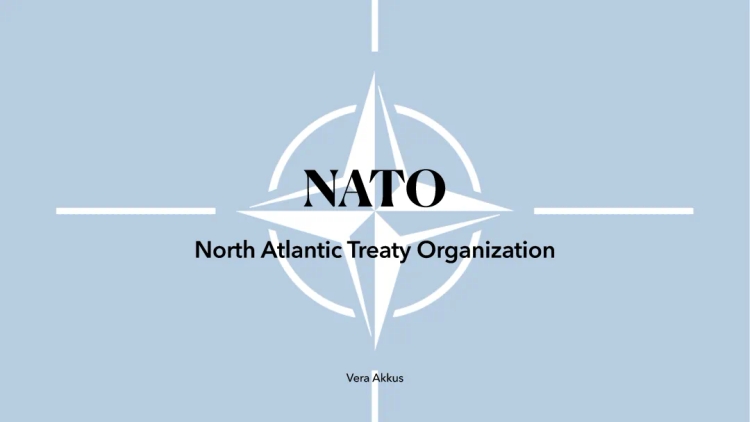 Everything About NATO: Members, Goals, and Cool Facts for Kids