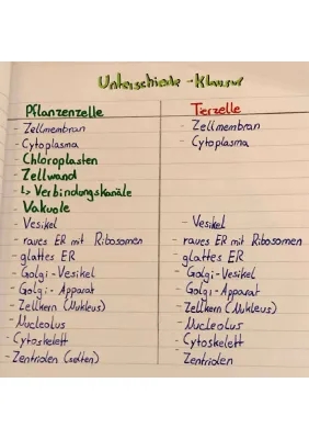 Tierische Zelle Aufbau und Funktion - 7. Klasse | Unterschiede zur pflanzlichen Zelle