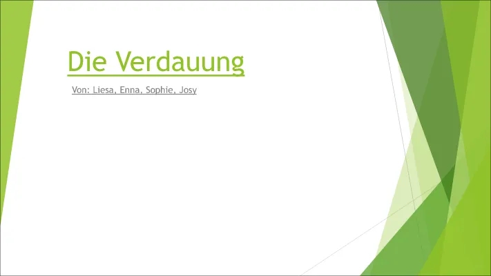 Verdauung für Kinder: Reihenfolge, Verdauungssystem, Galle und Bauchspeicheldrüse