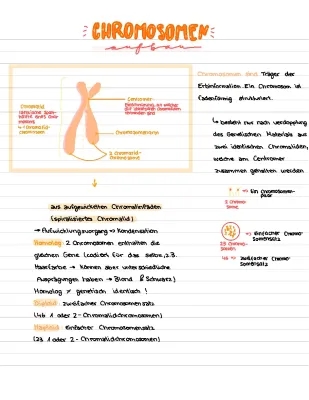 Genetik Biologie Q1