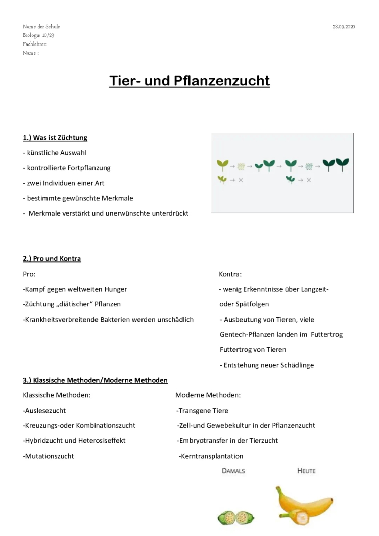 Tier- und Pflanzenzucht einfach erklärt: Züchtung, Gentechnik und Beispiele