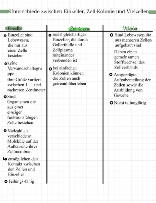 Unterschiede Einzeller und Vielzeller: Tabelle, Beispiele und mehr