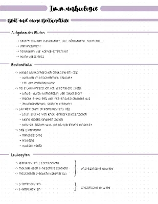 Welche Themen kommen im Bio-Abi 2024 dran? Immunbiologie einfach erklärt!