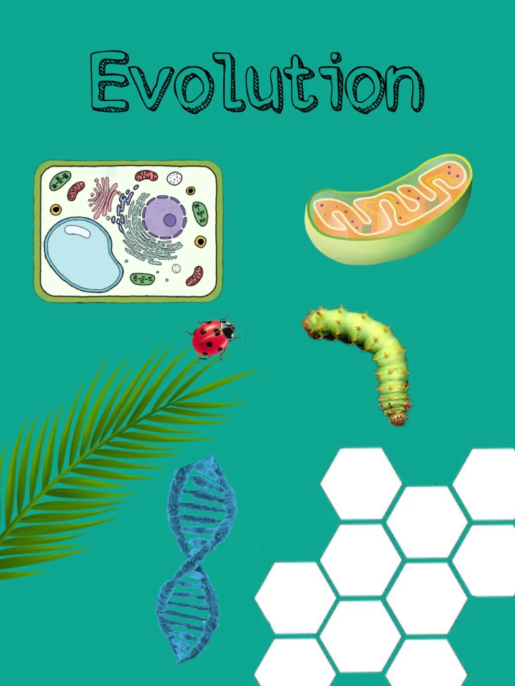 Evolution komplett 2023 Biologie