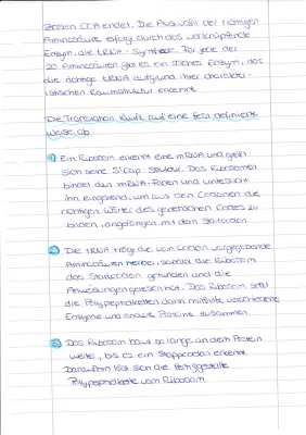 Translation Biologie: Proteinbiosynthese einfach erklärt