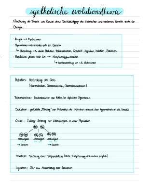 Synthetische Evolutionstheorie einfach erklärt - PDF, Aufgaben & Beispiele