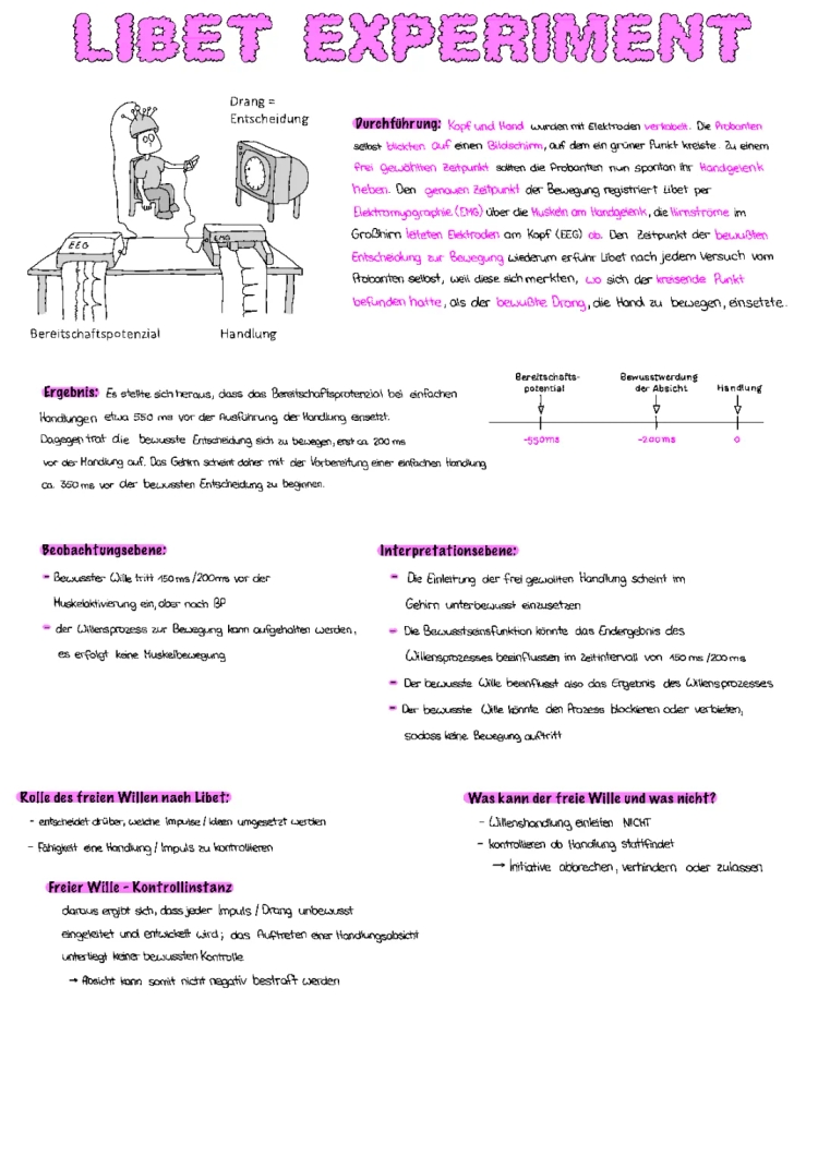 Das Libet Experiment 