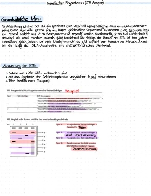 Genetischer Fingerabdruck: Rätsel, Erklärung und Anwendung in der Kriminalistik