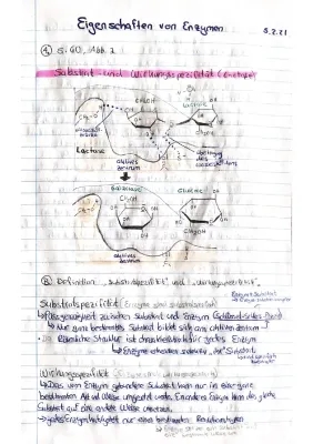 Was sind Enzyme? Wirkungsspezifität, Substratspezifität und mehr!