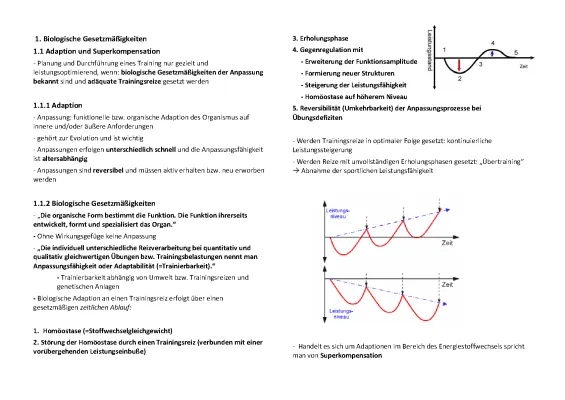 Superkompensation und Trainingsgesetze: Einfache Zusammenfassung Weineck Band 1+2