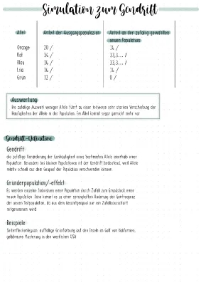 Gendrift und Gründereffekt einfach erklärt mit Simulation