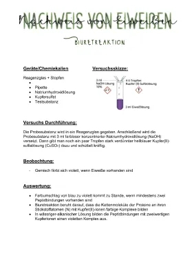 Nachweis von Eiweiß und Proteinen in der Schule: Xanthoproteinreaktion und Biuret-Reaktion