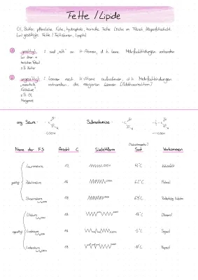 Fette und Fettsäuren: Veresterung und Hydrolyse leicht erklärt