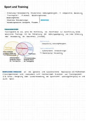 Trainingsprinzipien und Superkompensation einfach erklärt