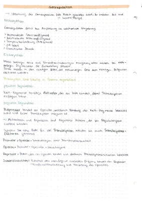 Genregulation bei Eukaryoten und Prokaryoten: Operon-Modell & Lac-Operon einfach erklärt