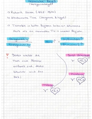 Hessesche Regel Beispiel und Ökogeographische Regeln: Bergmann, Allen, Gloger erklärt