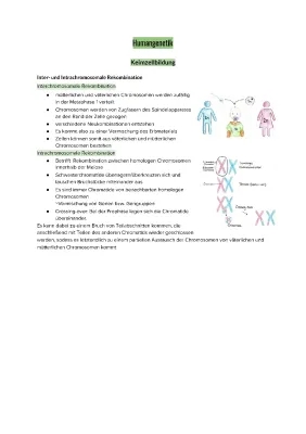 Inter- und Intrachromosomale Rekombination einfach erklärt - Meiose, Mitose und Crossing over