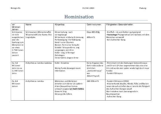 Stammbaum des Menschen: Von Affe zu Homo Sapiens - Einfach erklärt