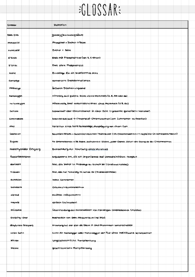 Genetik Glossar für's Abitur - PDF und Arbeitsblatt