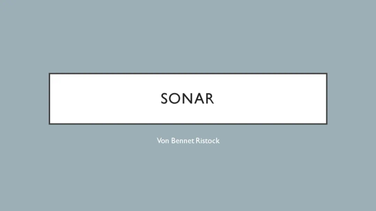 Cool Facts About Sonar: Can You Hear It? Is It Dangerous?