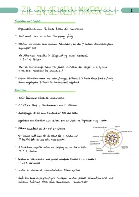 Was sind Geißeln, Flagellen, Mikrovilli und Kinozilien?