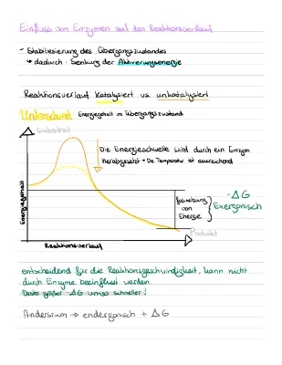 Enzyme und Pflanzenzellen: Funktionen, Aufbau und Beispiele für den Alltag - Einfach erklärt