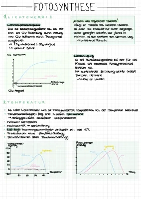 Abhängigkeit der Fotosynthese von Licht, CO2 und Temperatur - Einfach erklärt