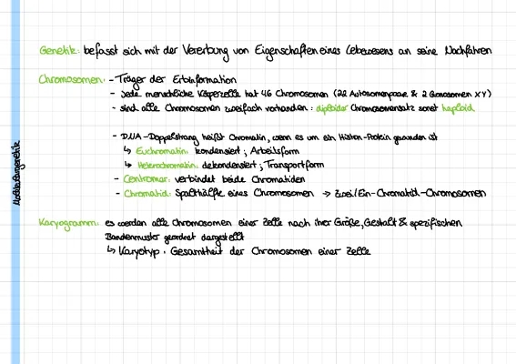 Genetik & Molekulargenetik - Lernzettel für das Abitur