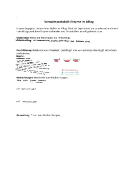 Enzyme im Alltag: Wackelpudding Experiment mit Waschmitteln