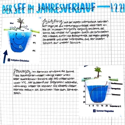 Der See im Jahresverlauf - Arbeitsblatt und Ökosystem