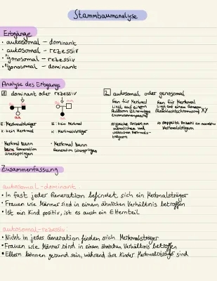 Einfache Stammbaumanalyse: Autosomal und Gonosomal erklärt