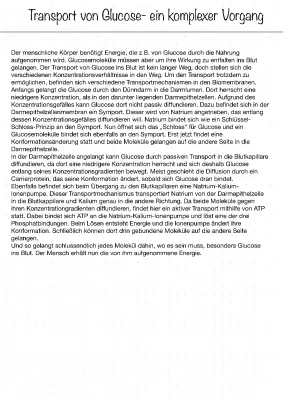 Glucose-Transport vom Darm ins Blut: Einfach erklärt