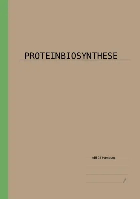 Proteinbiosynthese Zusammenfassung: Einfacher Ablauf, Schritte und PDFs