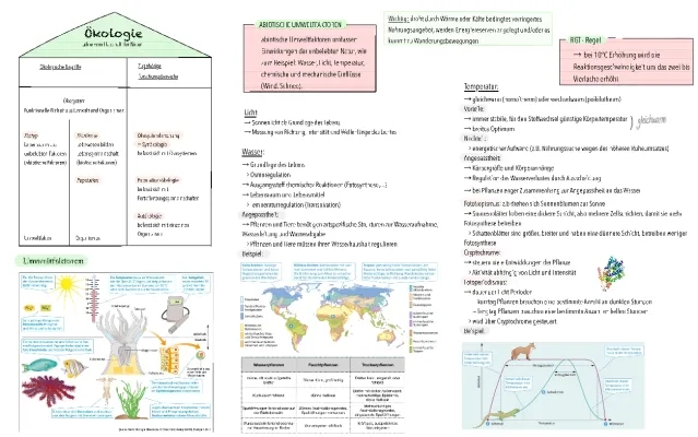 Abiotische und Biotische Umweltfaktoren: Einfache Beispiele und Erklärungen