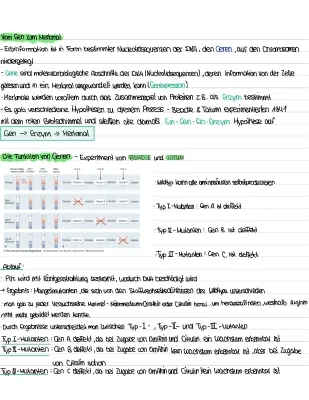 Die Ein-Gen-Ein-Enzym-Hypothese mit Beadle und Tatum Experiment