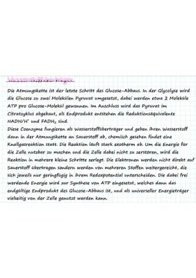 Atmungskette einfach erklärt: Ubichinon, Komplex 4, und Oxidative Phosphorylierung