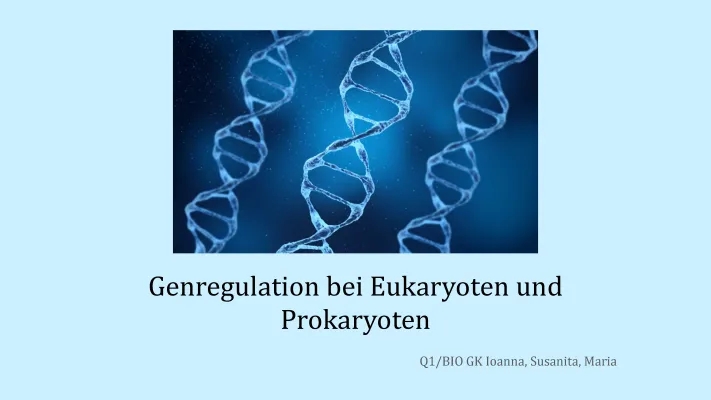 Einfache Genregulation bei Eukaryoten und Prokaryoten - Operon-Modell, Substratinduktion, Endproduktrepression & Mehr