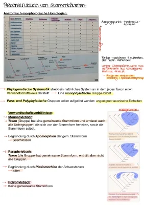 Phylogenetische Stammbäume und Evolution der Wirbeltiere