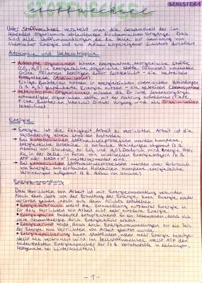 Stoffwechsel bei Pflanzen und Tieren - Einfach erklärt für die 5. Klasse