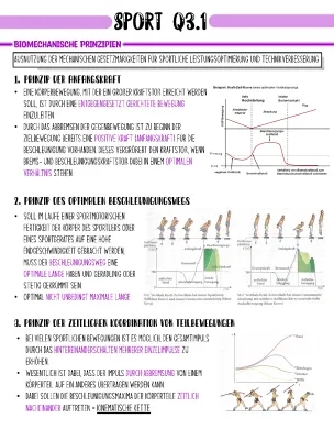 Biomechanische Prinzipien im Sport - Meinel und Schnabel vs. Göhner, Heidelberger Ballschule, PDF und mehr