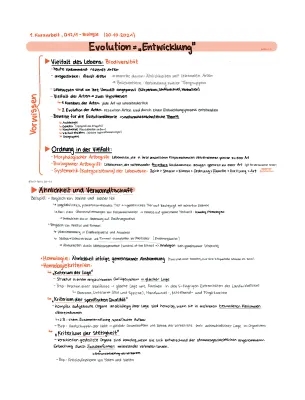 Homologie und Analogie in der Biologie - Beispiele und Erklärungen