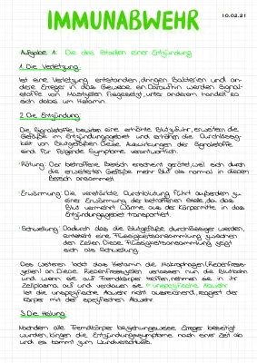 Entzündung Ablauf & Immunabwehr leicht erklärt